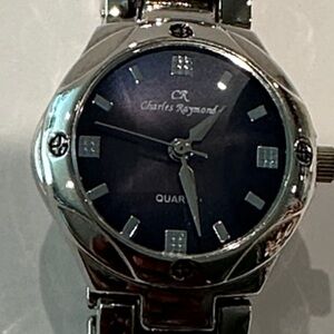 Charles Raymond Stainless Steel Water Resistant Quartz Purple Face Watch.